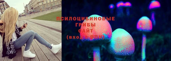 дживик Вуктыл