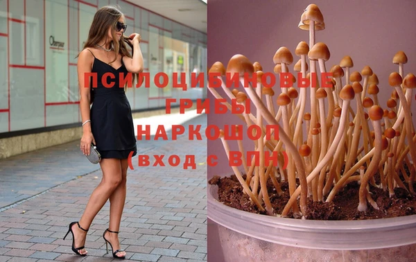 гидропоника Верхний Тагил