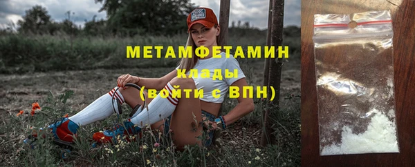 ГАЛЛЮЦИНОГЕННЫЕ ГРИБЫ Верея