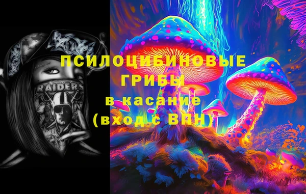 индика Верхнеуральск