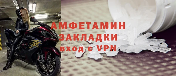 ГАЛЛЮЦИНОГЕННЫЕ ГРИБЫ Верея